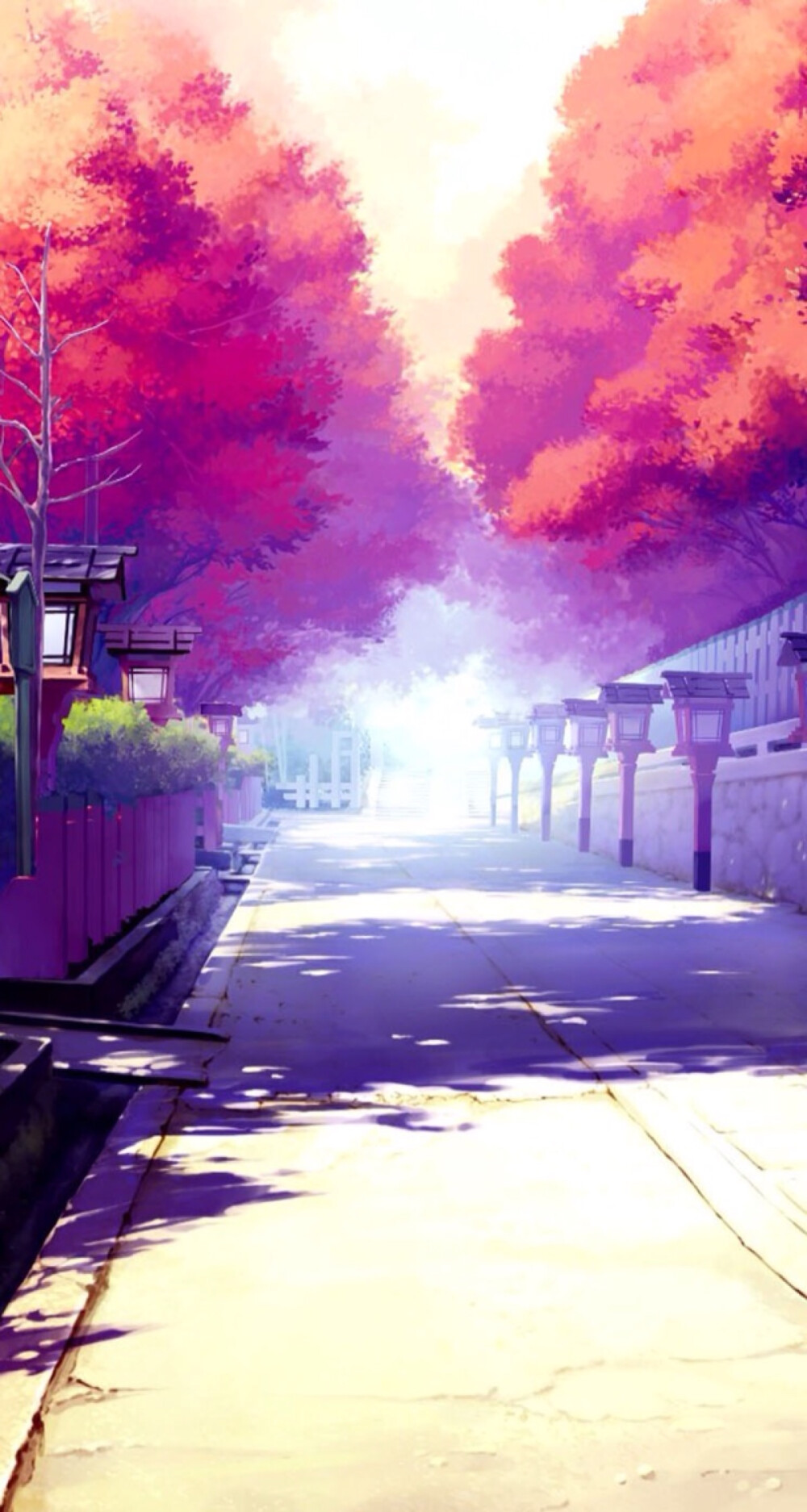 樱花 和风 动漫 插画 美图 壁纸 iphone5 高清 每当樱花飞舞时,想起花