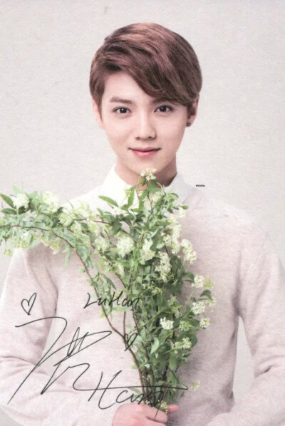  EXO LUHAN