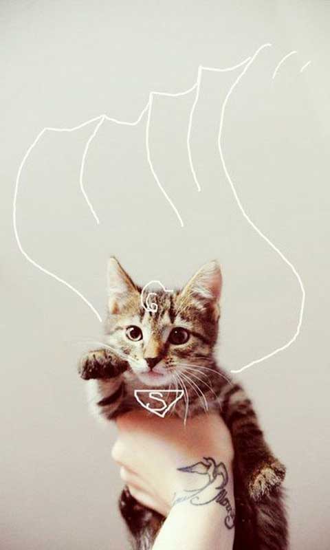 supercat~嗖