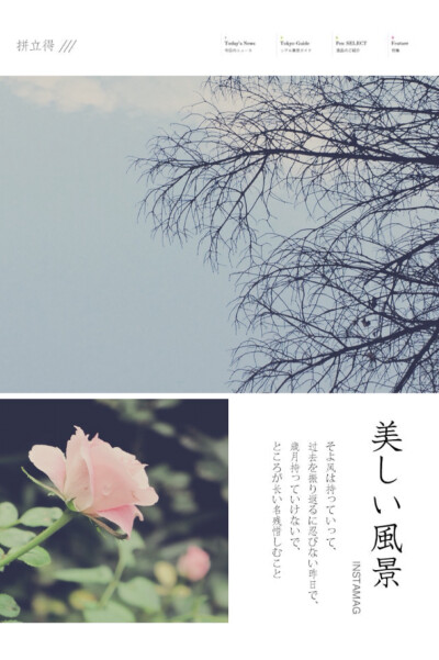 花与树