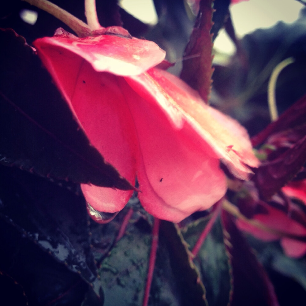 初秋的第一场雨