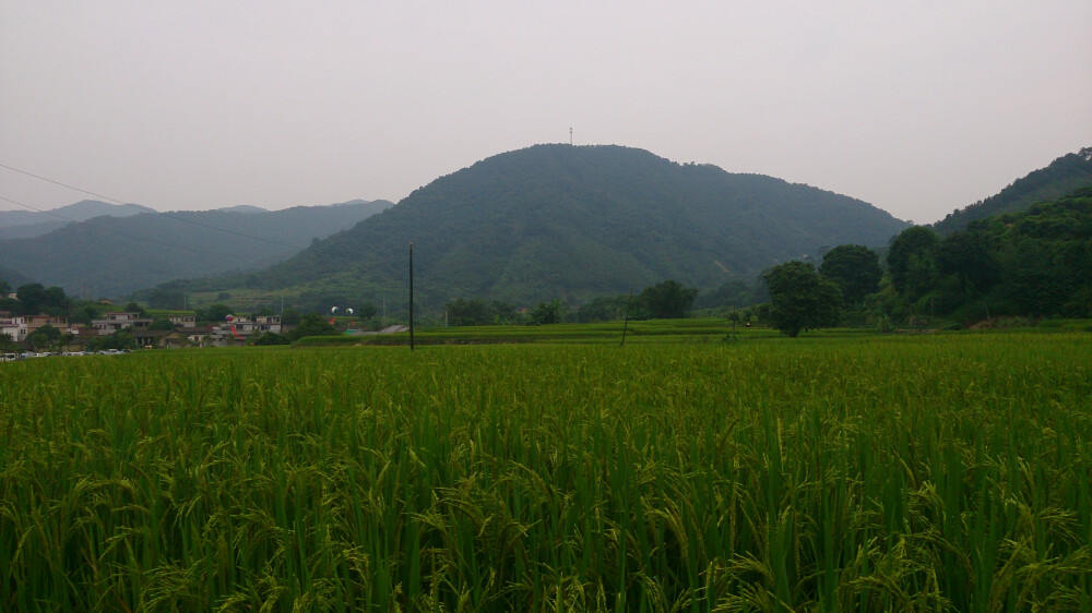 四会威整。06。