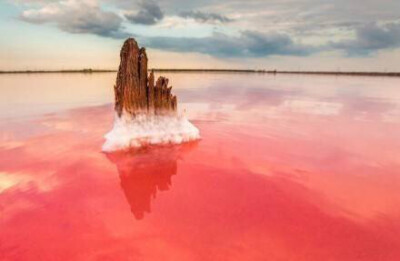 【克里米亚半岛-锡瓦什盐湖】比玻利维亚乌尤尼盐湖天空之境更美的地方，是世间罕见的粉红色盐湖～