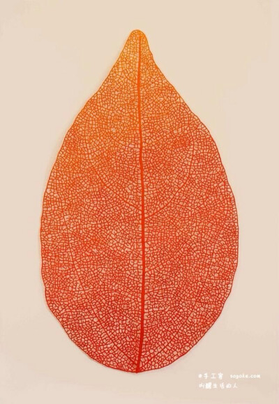 澳大利亚艺术家 Meredith Woolnough 创作的刺绣作品 ，模仿自然形态的树叶，珊瑚等。