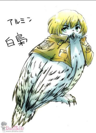 进击的猛禽——爱尔敏