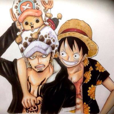 动漫 海贼王 ONEPIECE 壁纸 头像 路宝贝 罗殿 乔巴小萌主