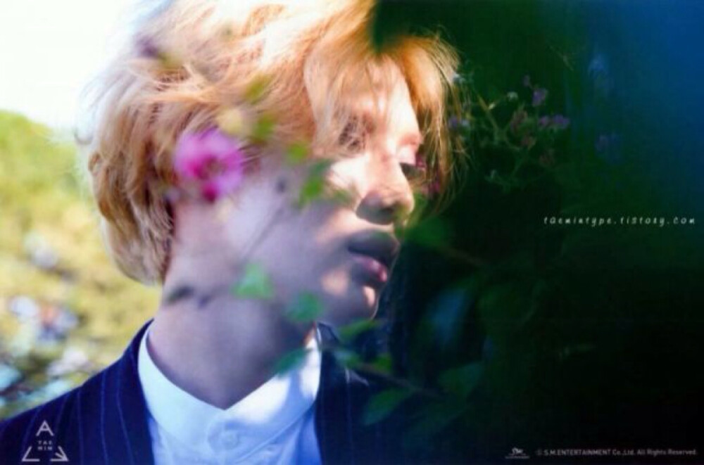 SHINee 李泰民 Taemin 「ACE」