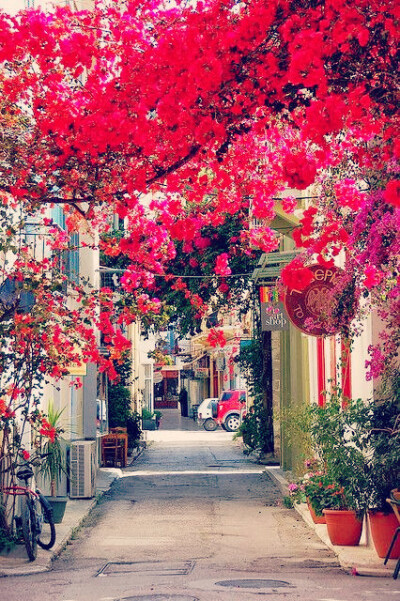 Nafplio,Peloponissos,Greece。希腊伯罗奔尼撒半岛拉夫普里欧。书中的拉夫普里欧是一座有壮丽水岸、细密小街和历史建筑的城市。他由一座座堡垒围抱着，就像港湾中间另一座承包。但驶入阿拉夫普里欧就像进入了雅典市…