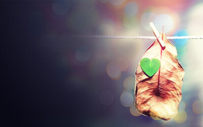 #谏言# 往前走，别站在远远的地方观望，你就可以找到你的方向。