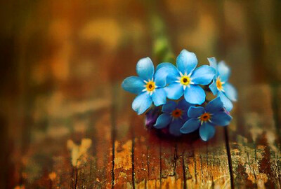 #警言# 许多潜意识觉得做不来而没去做的事情，都是我们对自己未知潜能的放弃。