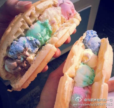 拿在手上吃的Ice Cream Waffle