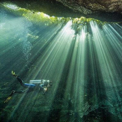 【ins】@paulnicklen on assignment for @natgeo.