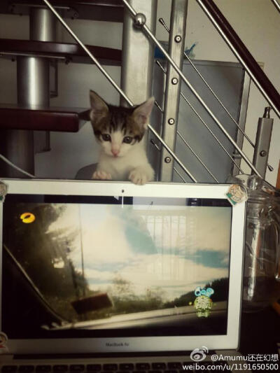 一看就是小姑娘