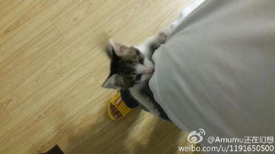 我就是爱爬高别让我停下来····为裤子泪一个