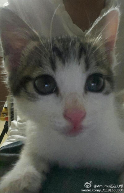 等等的niandai秀~~~~