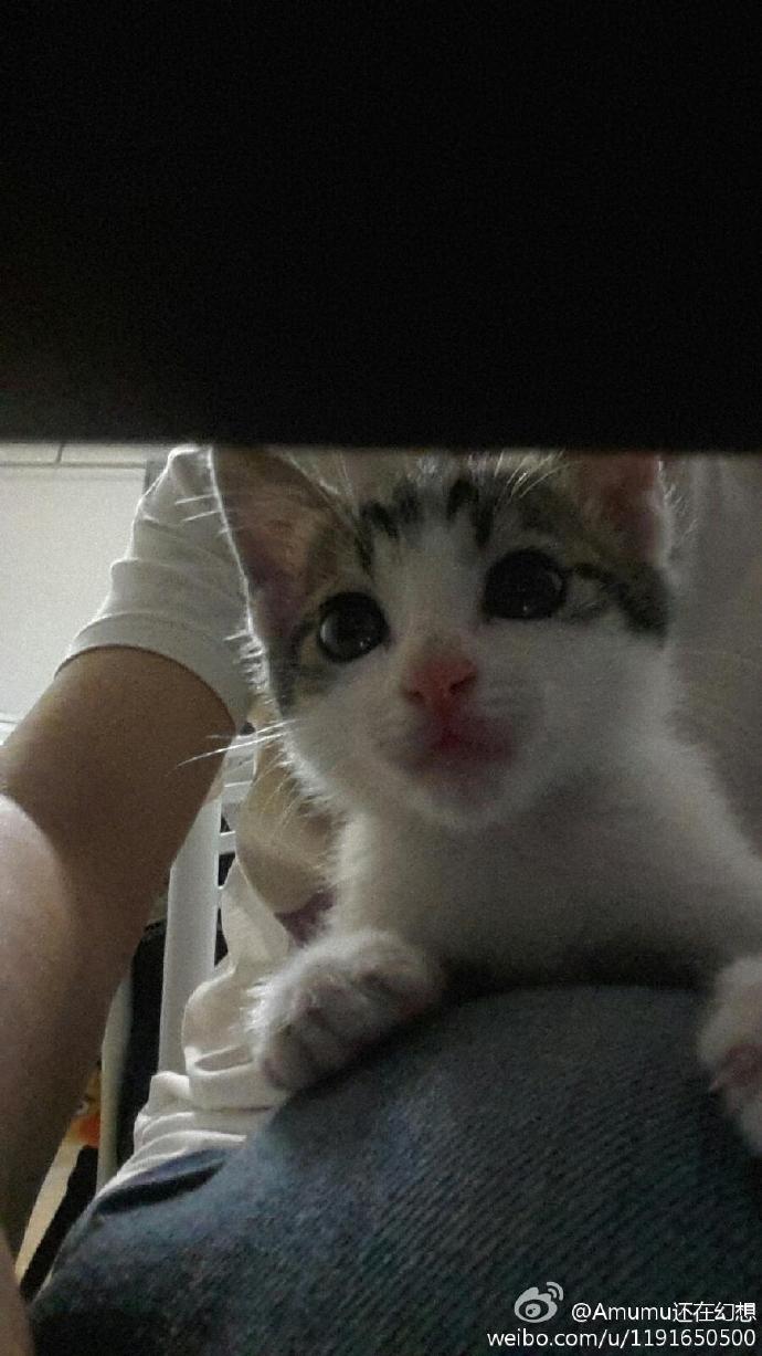 等等的niandai秀 要瞪大眼睛看啊