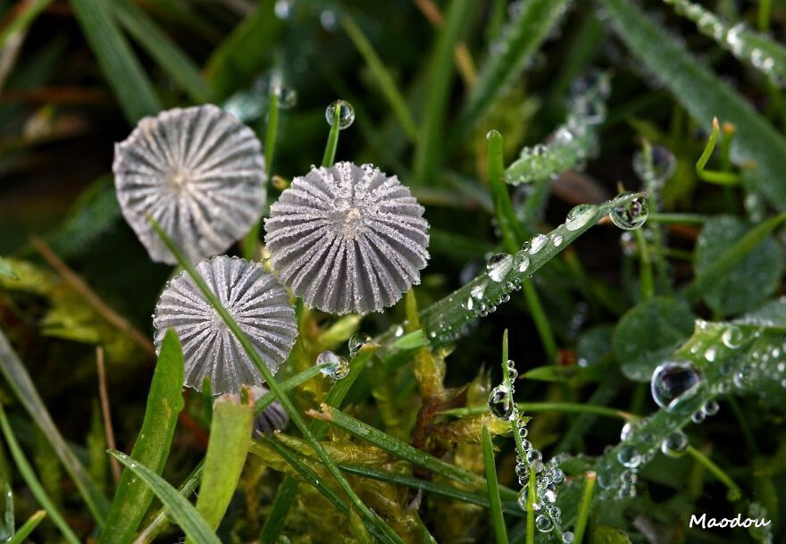 雨露什么的最有爱了