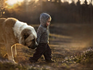 孩子与动物的温暖瞬间。女摄影师Elena Shumilova记录下两个儿子和农场里小动物相处的有爱瞬间。