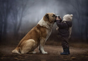 孩子与动物的温暖瞬间。女摄影师Elena Shumilova记录下两个儿子和农场里小动物相处的有爱瞬间。