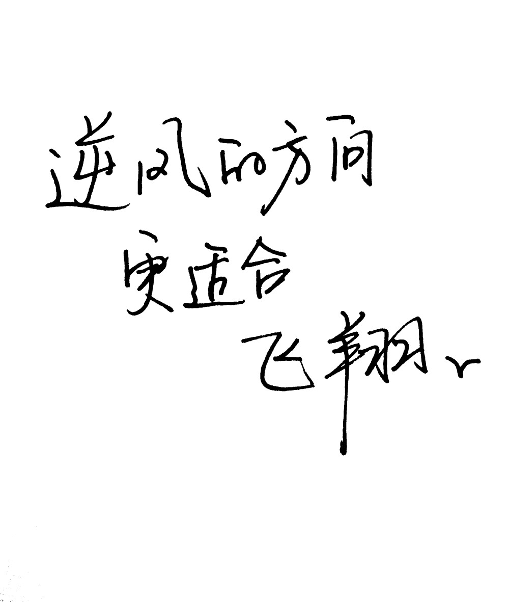 逆风的方向更适合飞翔