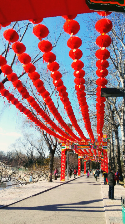 喜气洋洋的新年气氛，在北京的公园里到处都是，热情的红灯笼，给人们对新的一年的希望~