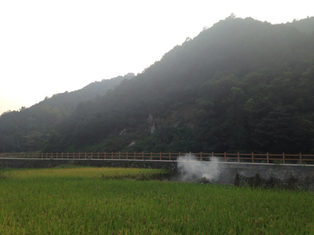 永嘉南城街道李家村