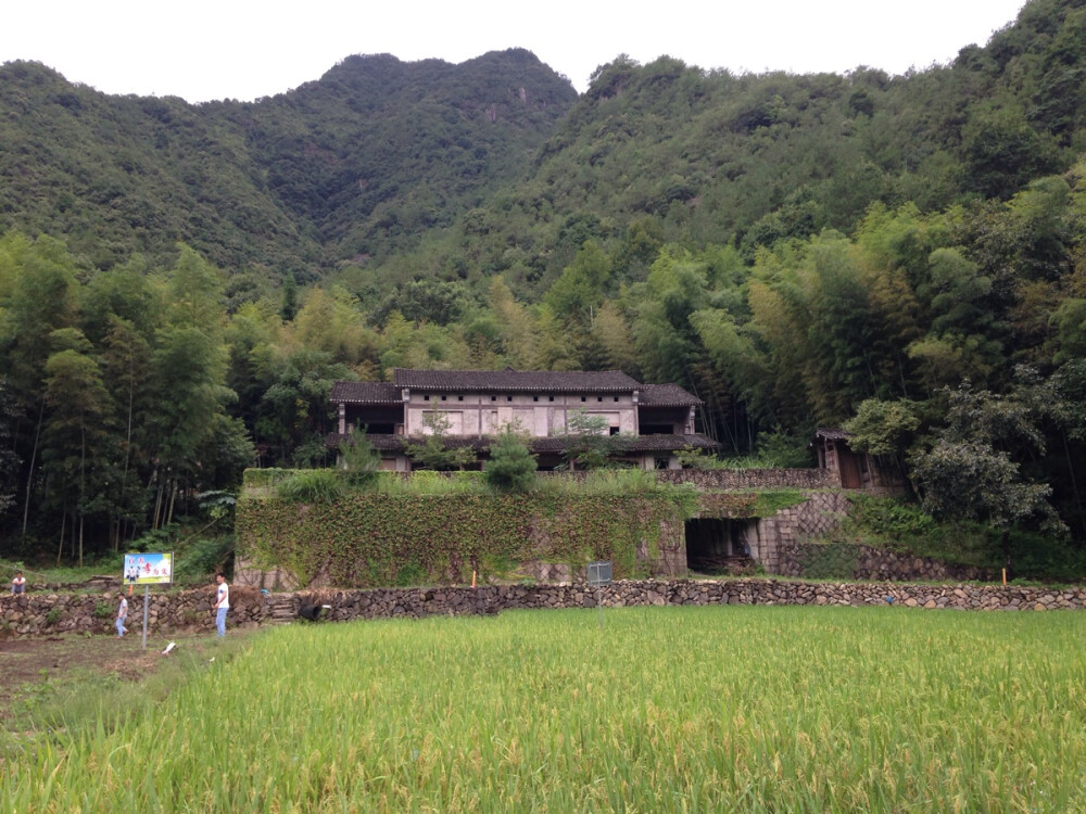 永嘉鹤盛周家园