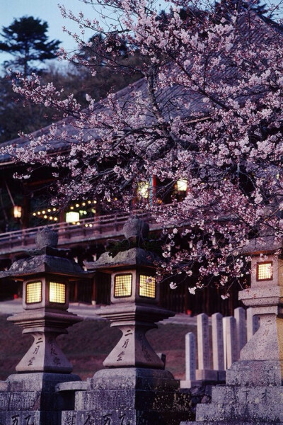 美景 风景 高清 美图 旅游 iPhone 5 壁纸 喜欢请点赞哦！❤️^_^