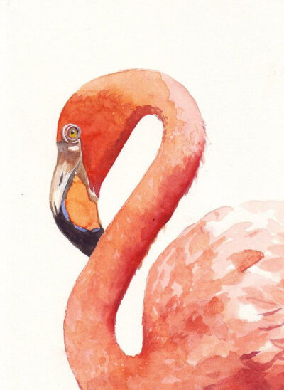 Flamingo Painting - print of watercolor painting 5 by 7 print