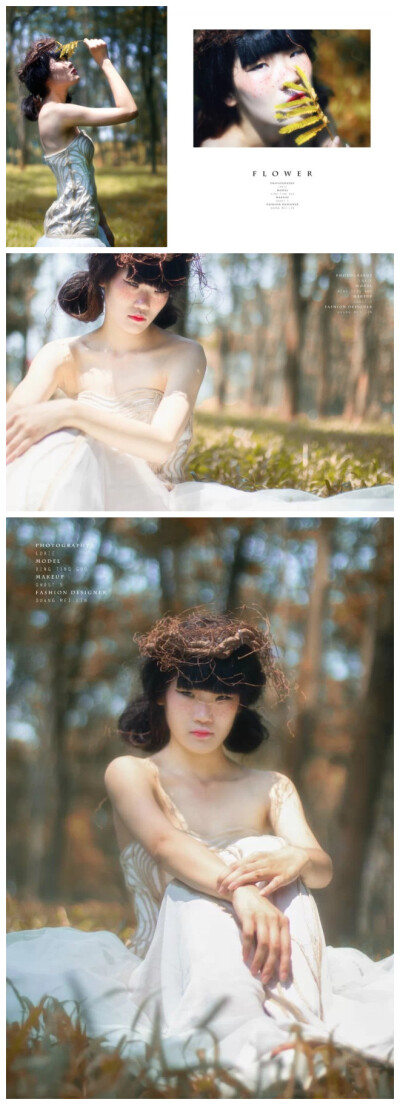 名称：《flower》 设计师：meimei 学校：中大新华 设计说明：窗前的花朵从盛开到枯萎，我要把最美丽的定格在那一刻。