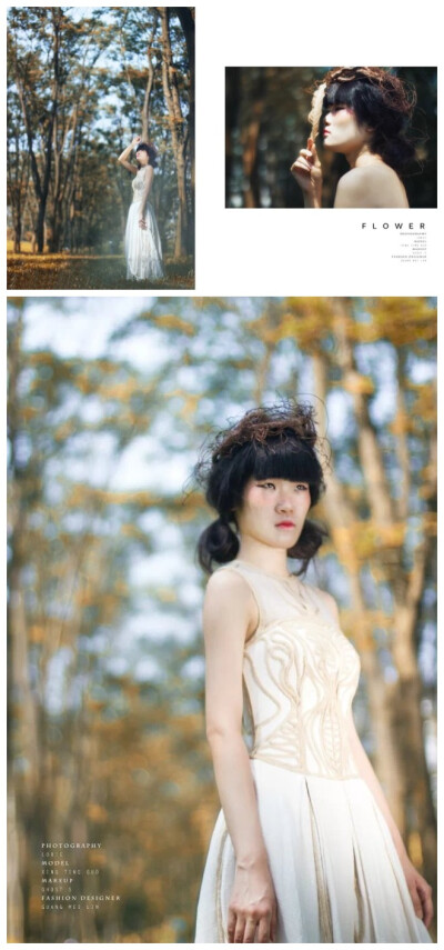 名称：《flower》 设计师：meimei 学校：中大新华 设计说明：窗前的花朵从盛开到枯萎，我要把最美丽的定格在那一刻。