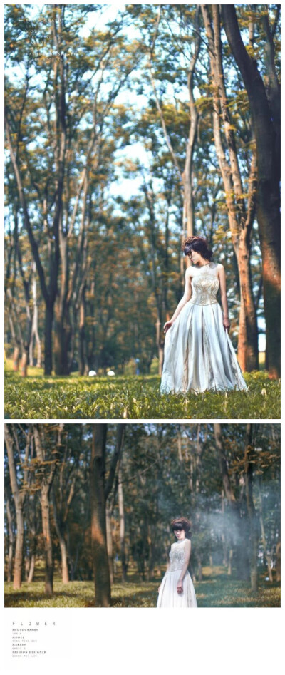 名称：《flower》 设计师：meimei 学校：中大新华 设计说明：窗前的花朵从盛开到枯萎，我要把最美丽的定格在那一刻。