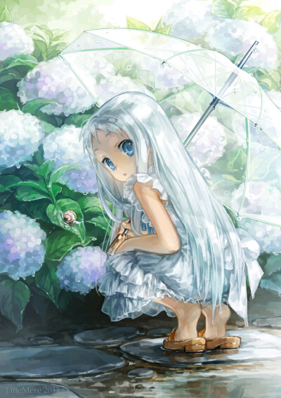 紫阳花～