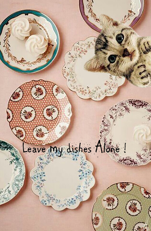 纯粹的快乐~Leave my dishes alone !