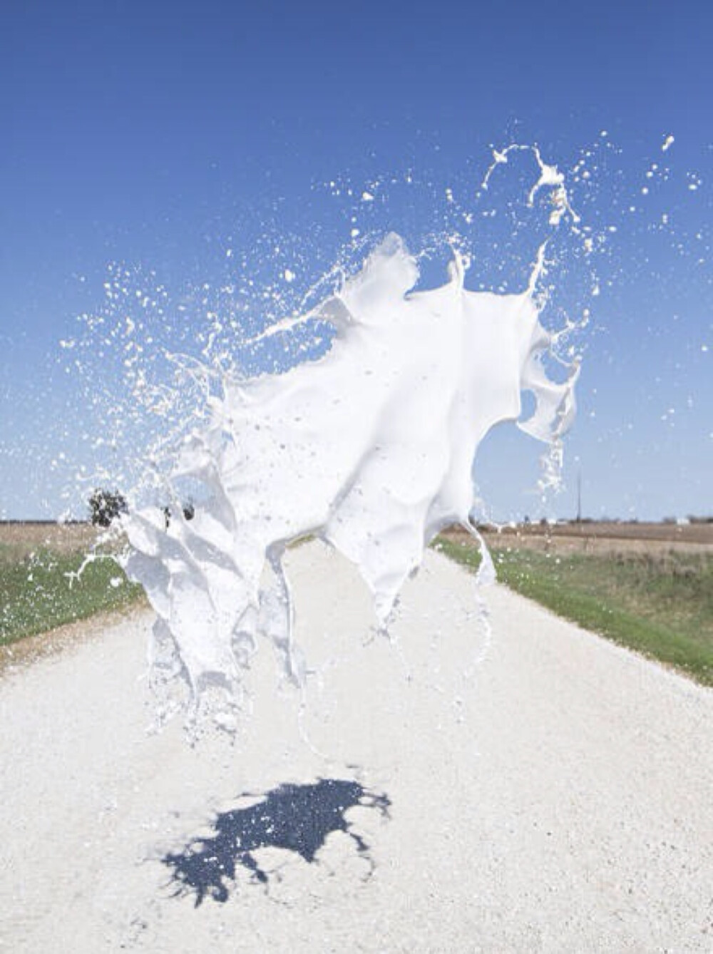 1/3500秒拍摄的飞溅液体,绚丽多姿. | 美国纽约 floto warner 工作室