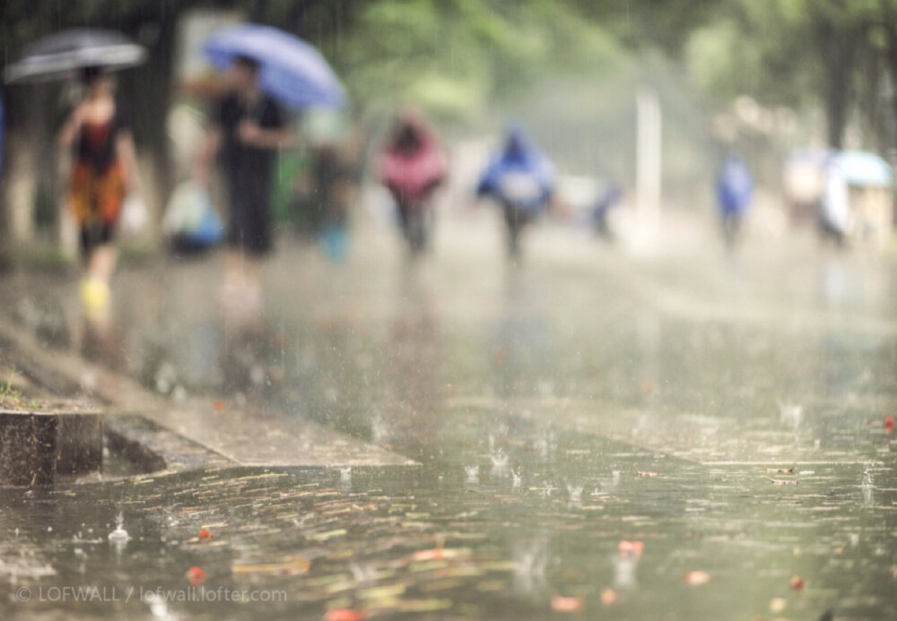 雨中