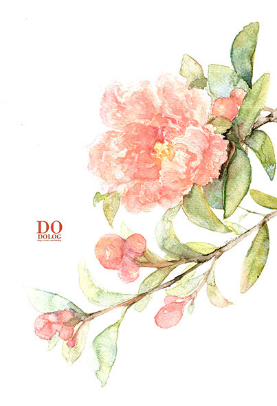 花草、水墨、封面、淡雅、唯美、插画、古风