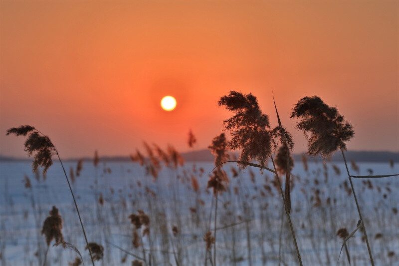 湖中望夕阳。