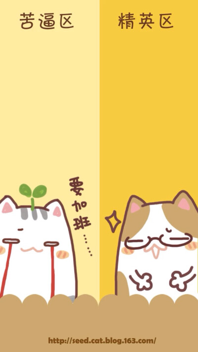 原创壁纸 聊天背景 种子猫 萌 微信公众号@种子猫物语 新浪微博@seedcat种子猫