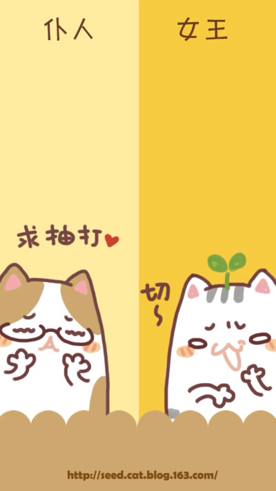 原创壁纸 聊天背景 种子猫 萌 微信公众号@种子猫物语 新浪微博@seedcat种子猫