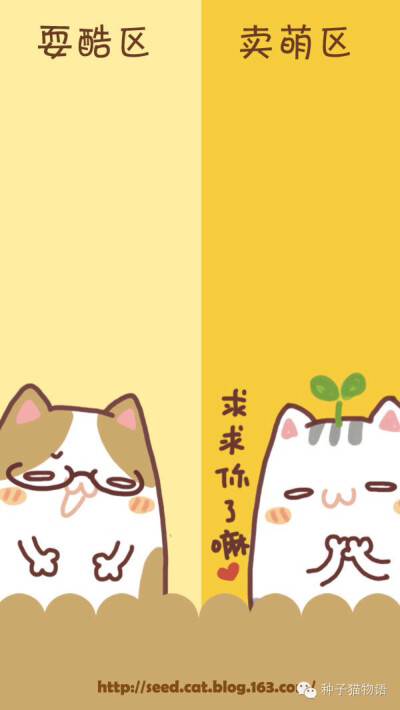 原创壁纸 聊天背景 种子猫 萌 微信公众号@种子猫物语 新浪微博@seedcat种子猫