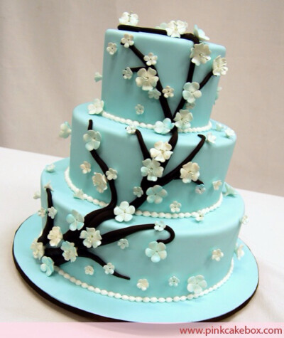 White and Blue Blossom Cake