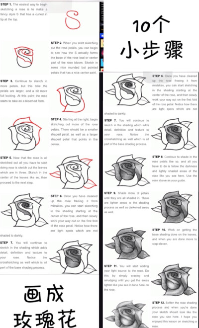图片可能有点小 不过应该挺有用的 #玫瑰花#画画#素描