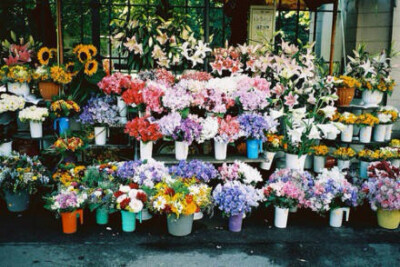 鲜花店