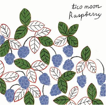 Raspberry: tico moon