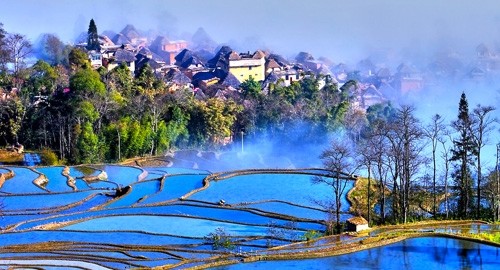 云南元阳 主要有三大景区，多依树景区、老虎嘴景区、坝达景区，是红河哈尼梯田的主要景区。 地处云南省红河自治州元阳县城南的几个村寨。