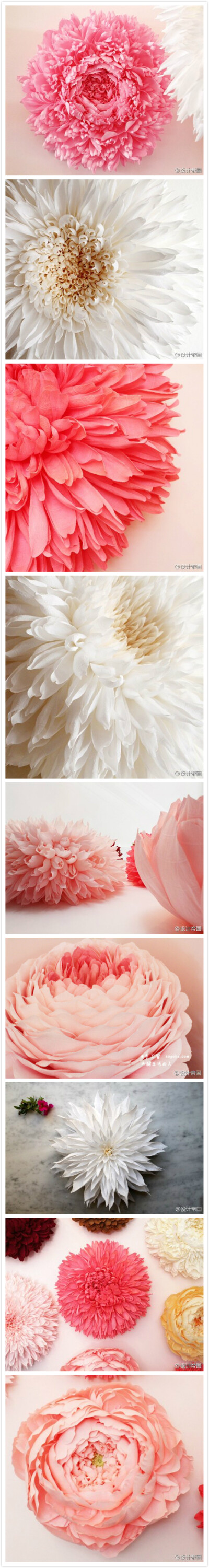 美国艺术家Tiffanie Turner用皱纹纸创作了一个名为“真实且巨大的花朵”系列。每一朵花的范围2-3英尺之间，需要工作35-80个小时才能完成。 转自 悠苒3