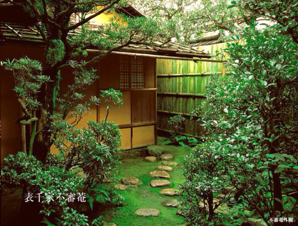 夏天绿色最治愈。