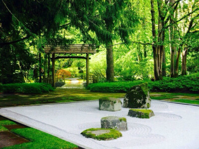 夏天绿色最治愈。