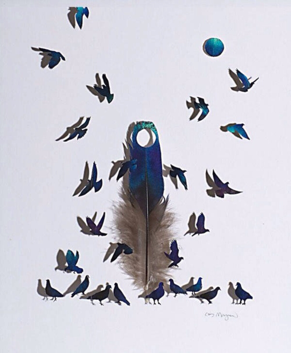来自华盛顿的艺术家Chris Maynard钟爱羽毛，他采集各种各样的鸟类羽毛作为画布，接着使用手术钳、手术刀和放大镜进行加工，让掉落的羽毛继续飞翔。
